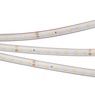 Лента светодиодная RTW 2-5000PS 24V Warm3000 (2835, 80 LED/m, LUX) (Arlight, 6 Вт/м, IP67)