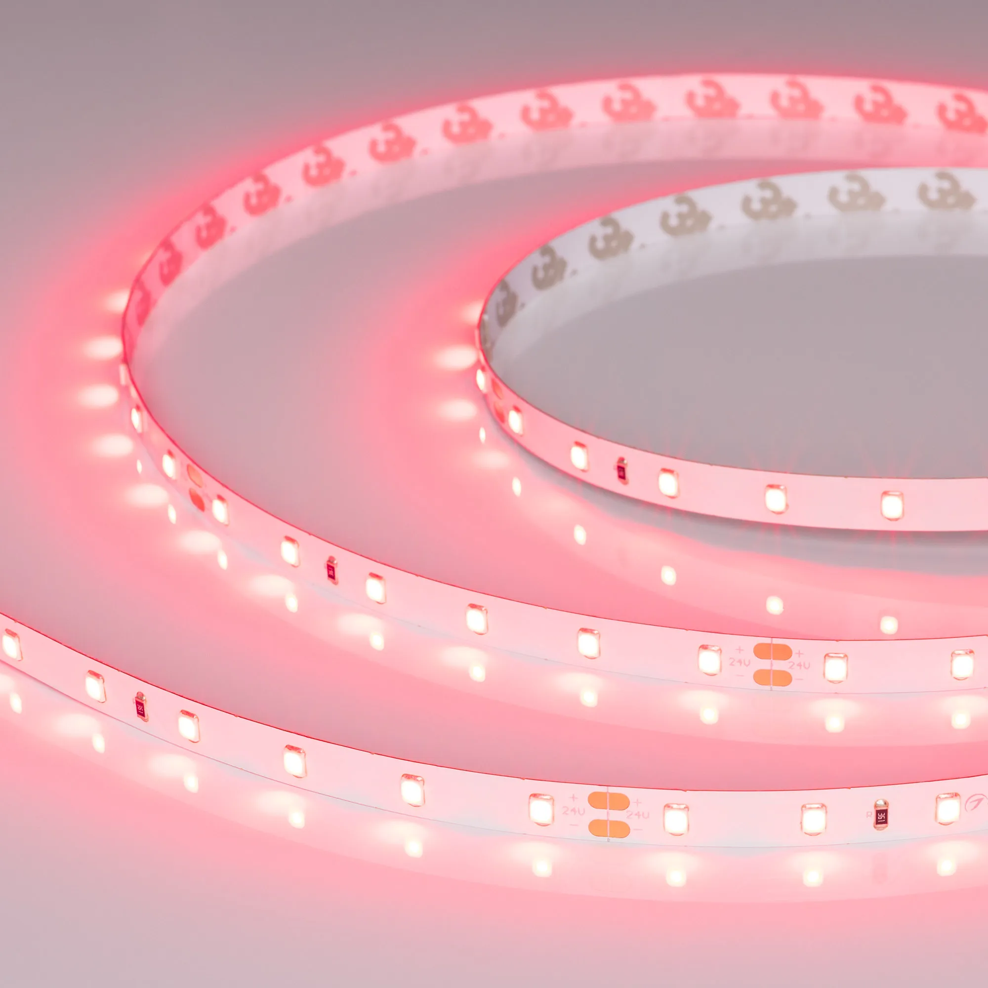 Лента RT-A60-8mm 24V Ruby (4.8 W/m, IP20, 5m) (Arlight, -)